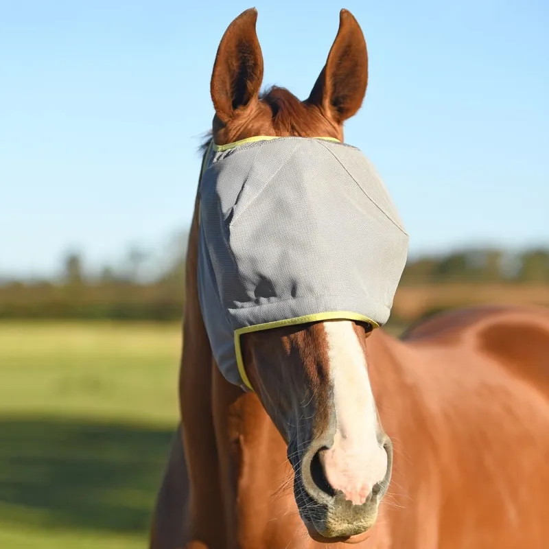 Equilibrium Field Relief Midi Fly Mask with No Ears - Gray/Yellow