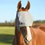 Equilibrium Field Relief Midi Fly Mask with No Ears - Gray/Yellow