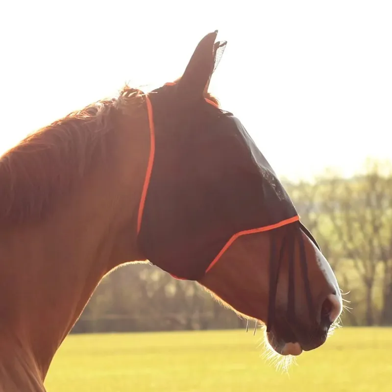 Equilibrium Field Relief Midi Fly Mask With Ears - Black/Orange-2