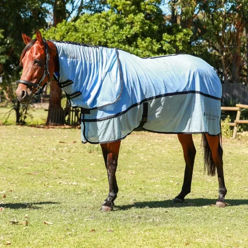 Equilibrium Quick Chill Standard Neck Cooling Cooler-1