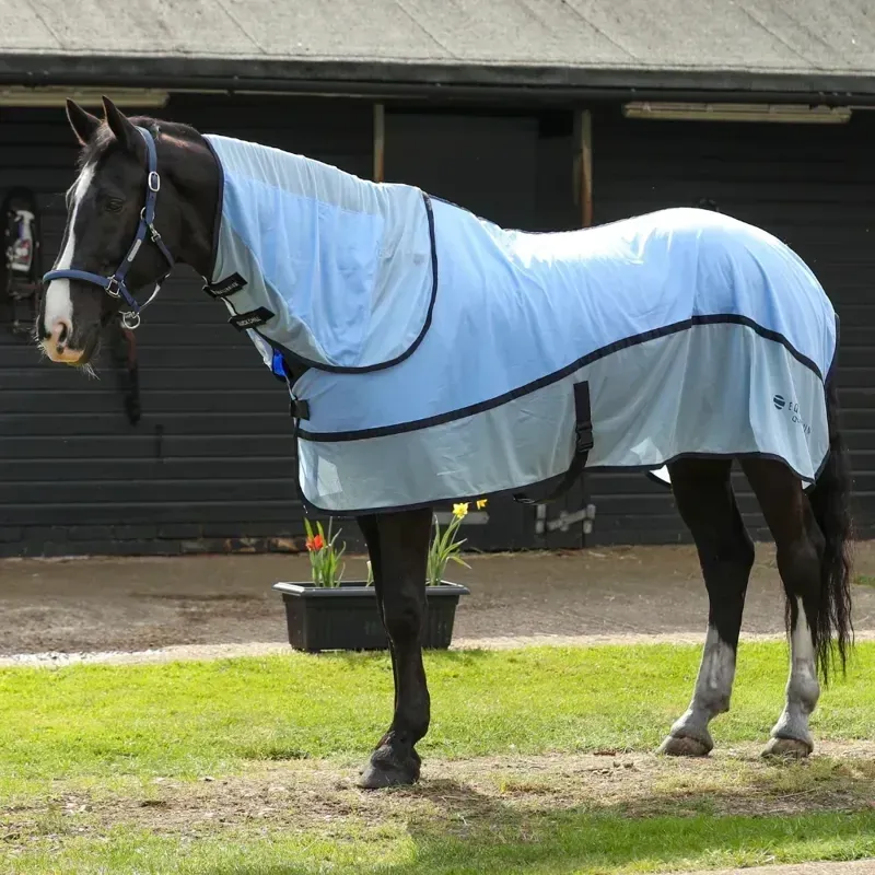 Equilibrium Quick Chill Standard Neck Cooling Cooler-4