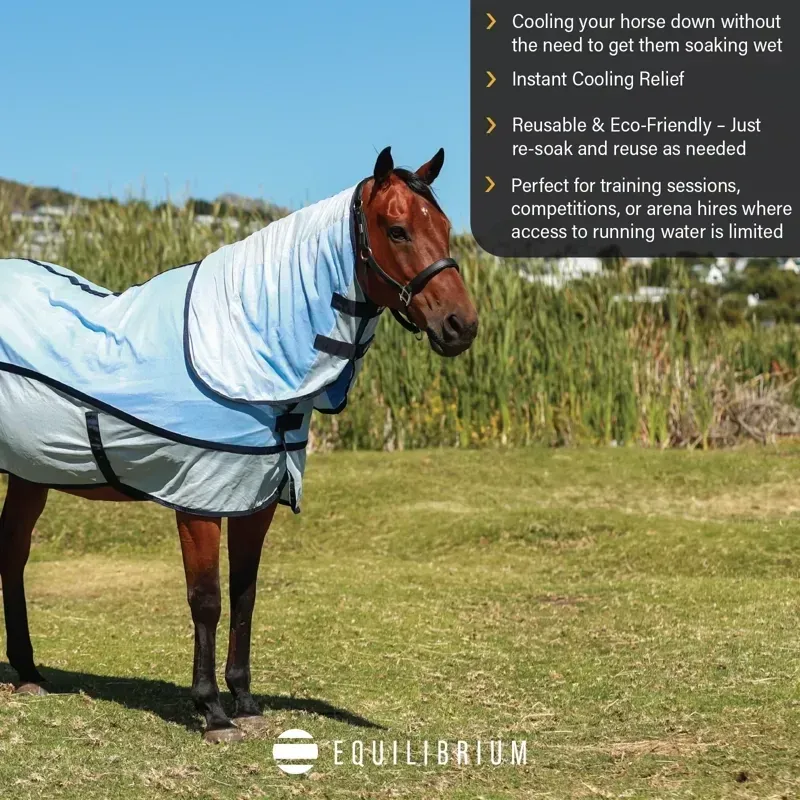 Equilibrium Quick Chill Standard Neck Cooling Cooler-5