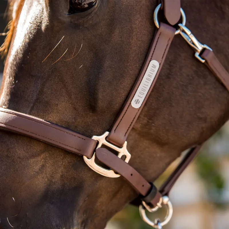 Equilibrium Stellar All Weather Safety Halter - Brown-4