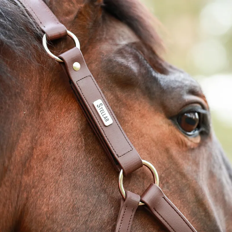 Equilibrium Stellar All Weather Safety Halter - Brown-7