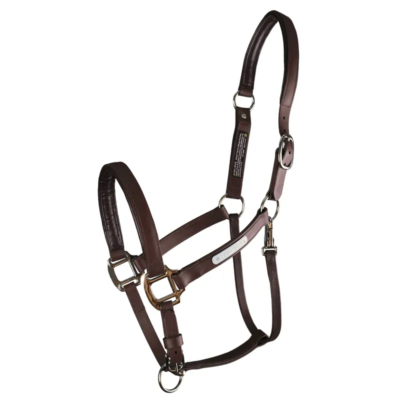 Equilibrium Stellar All Weather Safety Halter - Brown-1