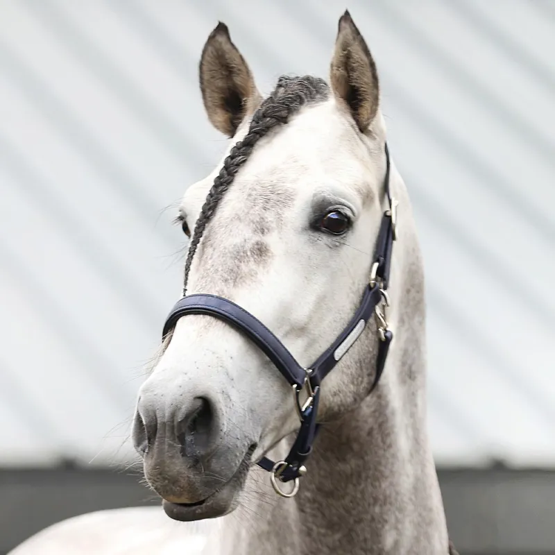 Equilibrium Stellar All-Weather Safety Halter - Navy-4