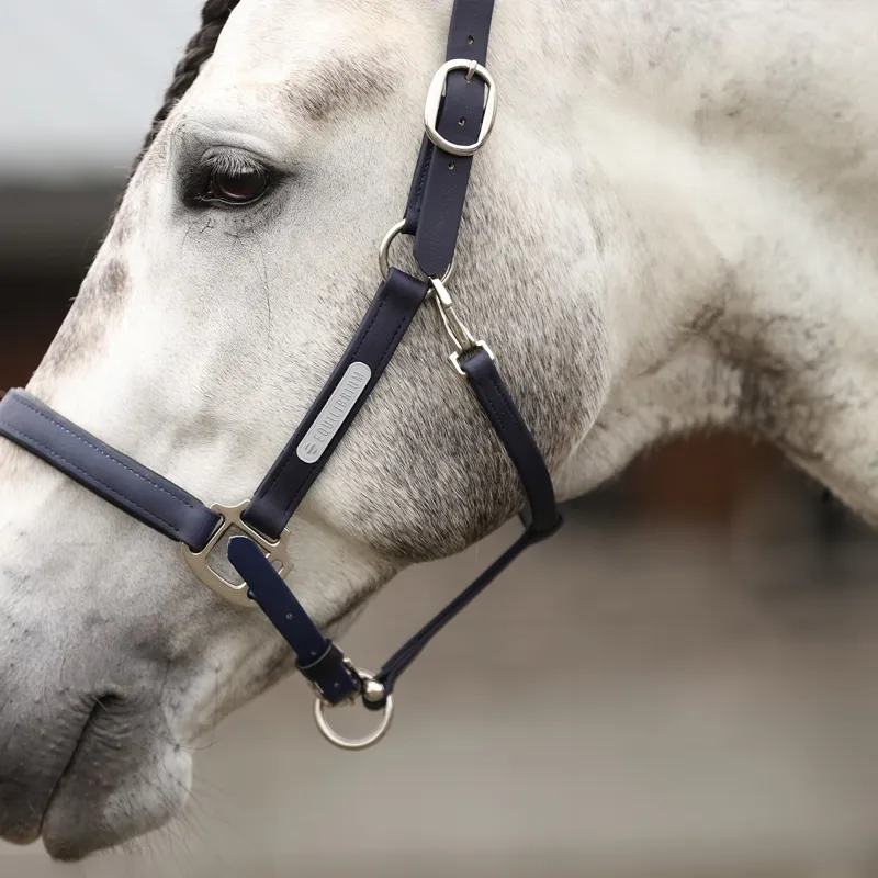 Equilibrium Stellar All-Weather Safety Halter - Navy-3