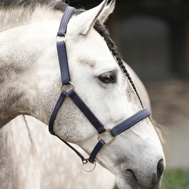 Equilibrium Stellar All-Weather Safety Halter - Navy-2