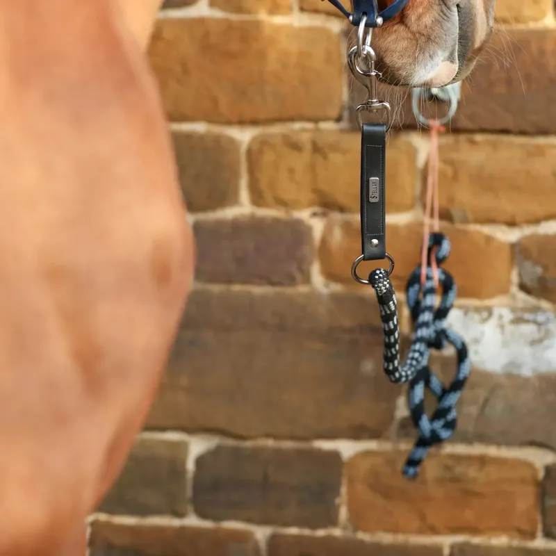 Equilibrium Stellar Safety Release Lead Rope - Black-4