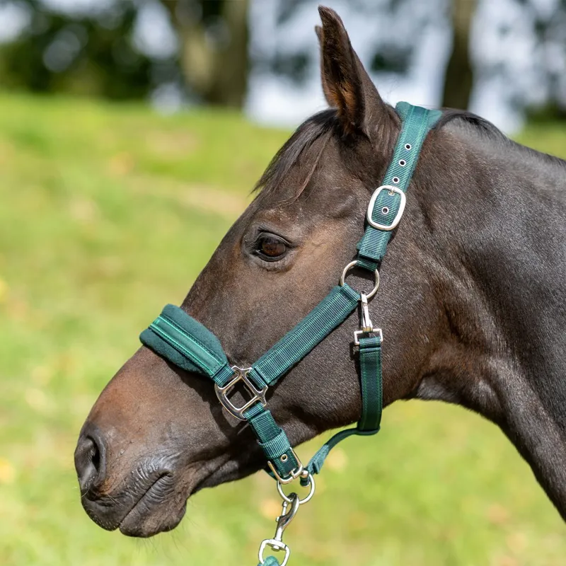 Equilibrium Stellar Style Safety Halter - Green-2