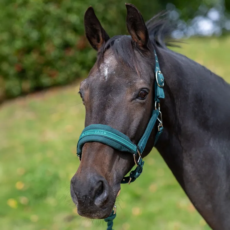 Equilibrium Stellar Style Safety Halter - Green-1