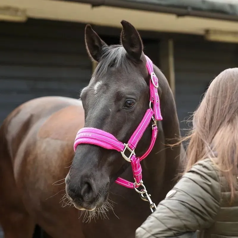Equilibrium Stellar Style Safety Halter - Pink-2
