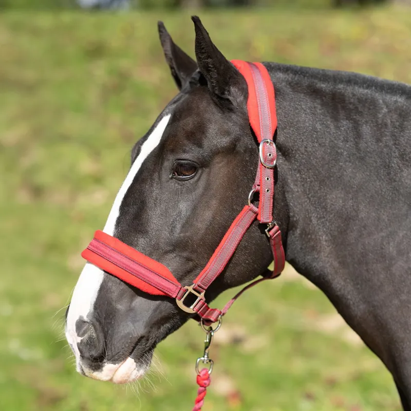 Equilibrium Stellar Style Safety Halter - Red-1