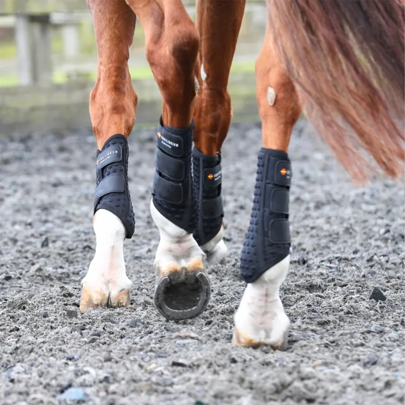 Equilibrium Stretch and Flex Flatwork Wraps - Black-3