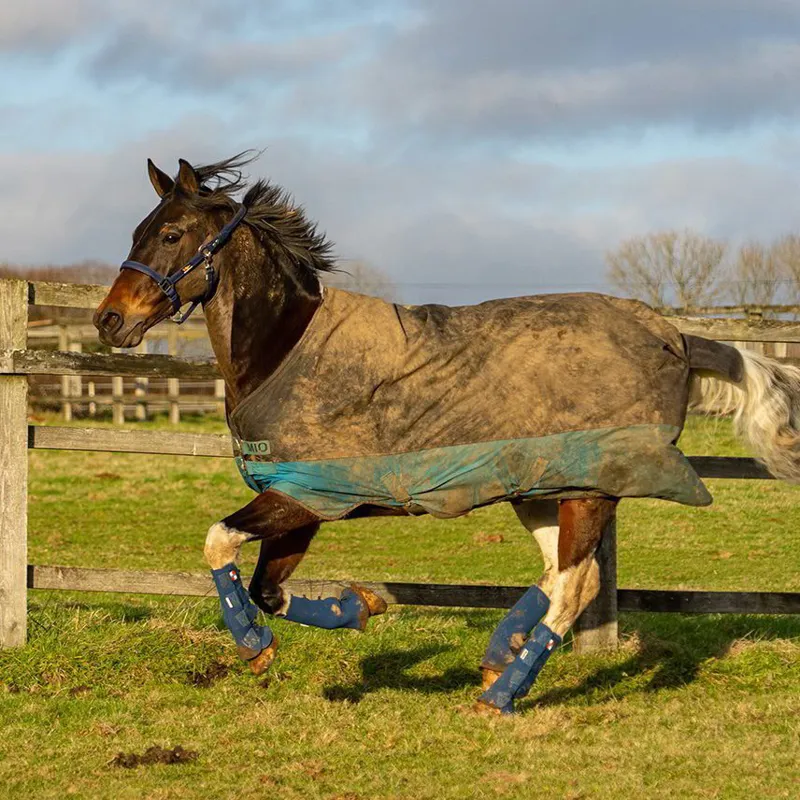 Equilibrium Equi-Chaps Hardy Turnout Chaps - Navy-2