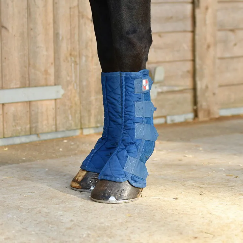 Equilibrium Equi-Chaps Stable Chaps - Navy-2