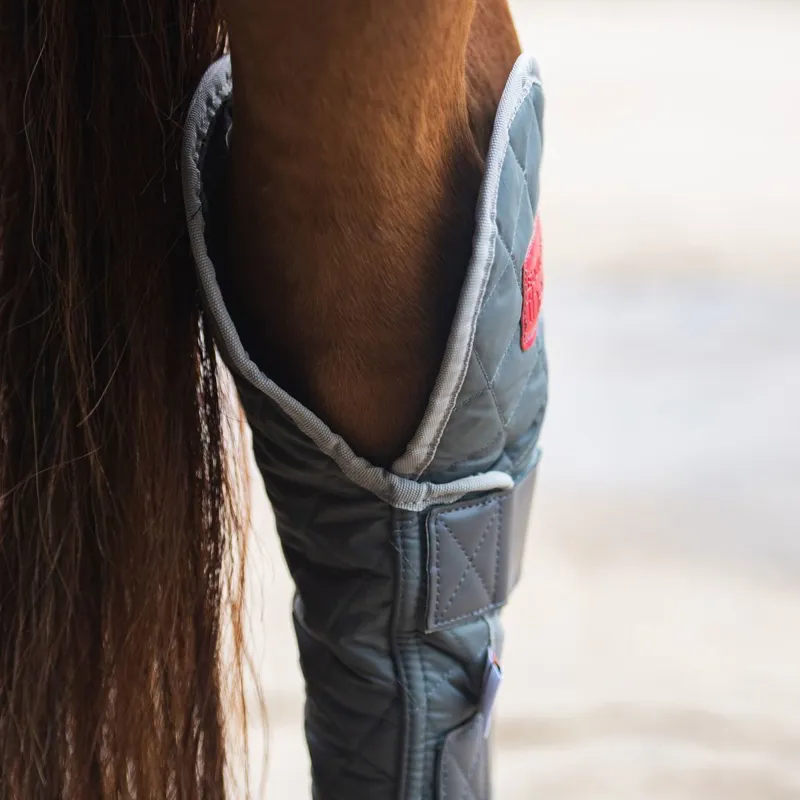 Equilibrium Magnetic Hind and Hock Chaps - Grey-3
