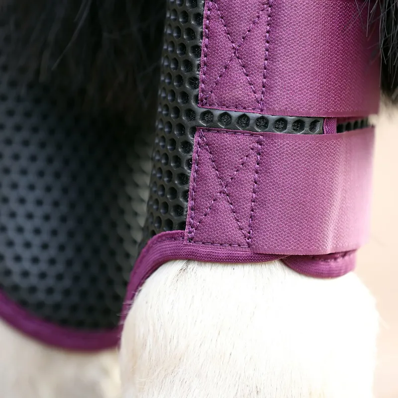 Equilibrium Tri-Zone Brushing Boots - Plum-2