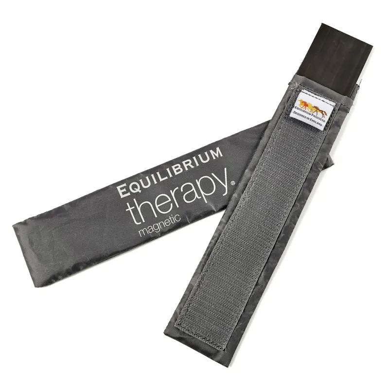 Equilibrium Magnetic Spare Magnets