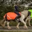 Equi Light Ride On LED Rechargeable High Vis Quarter Sheet - Orange