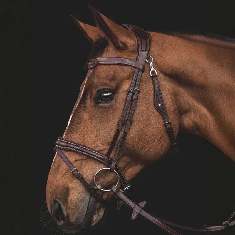Equiline Anatomic Jumping Flash Bridle - Brown