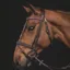 Equiline Anatomic Jumping Flash Bridle - Brown