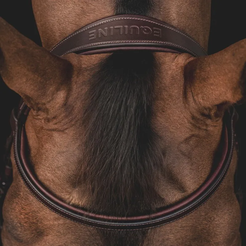 Equiline Classic Flash Bridle - Brown-2