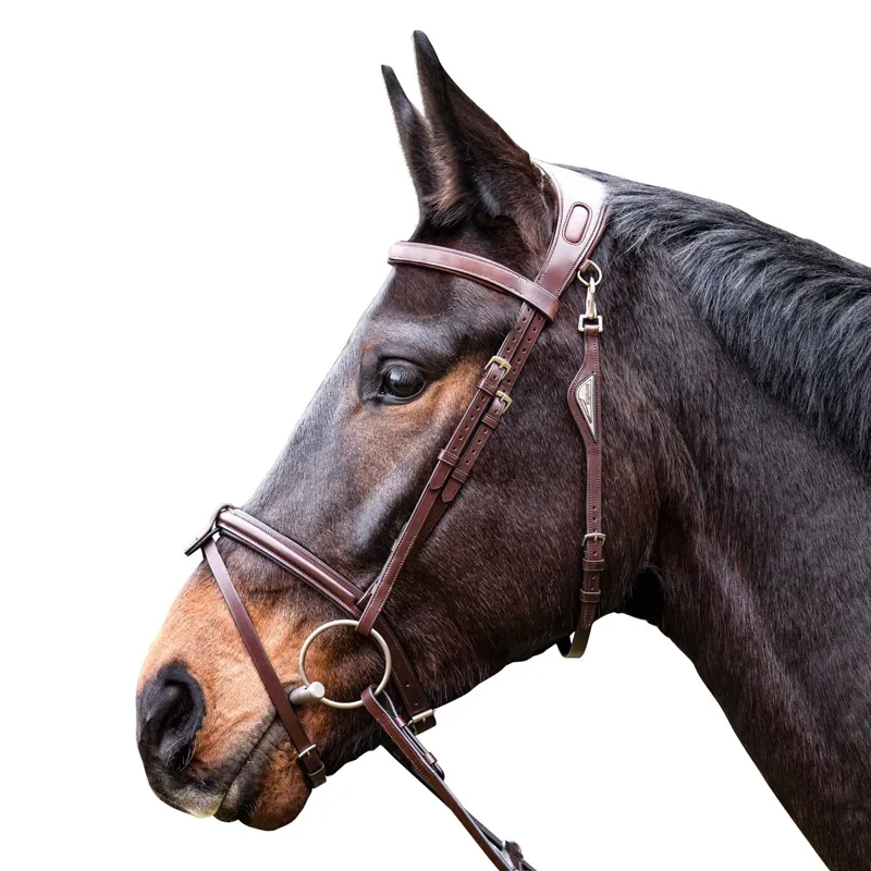 Equiline Anatomic Jumping Removable Flash Bridle - Brown-1
