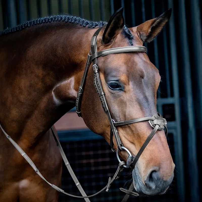 Equiline Anatomical NB0457 Grackle Bridle - Black-1