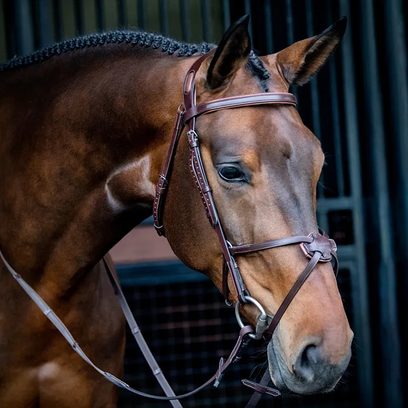 Equiline Anatomical NB0457 Grackle Bridle - Brown