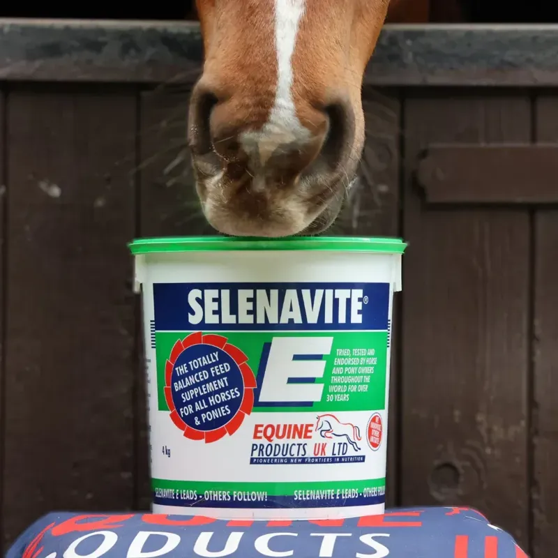 Equine Products Selenavite E Powder-1