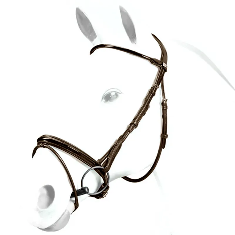 Equipe Rolled Patent Flash Bridle - Brown