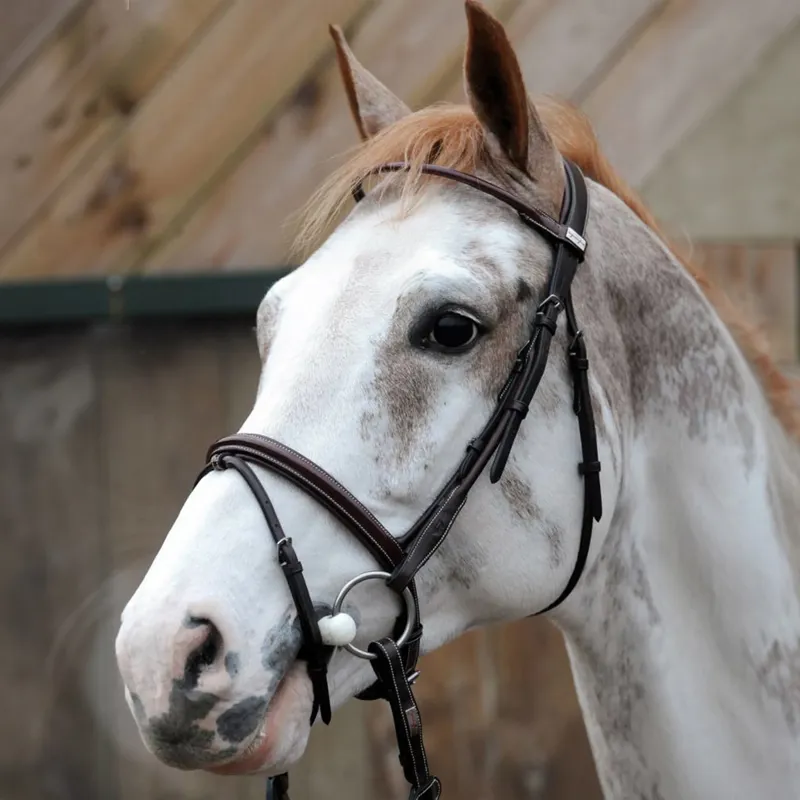 Equipe Rolled Patent Flash Bridle - Brown-1