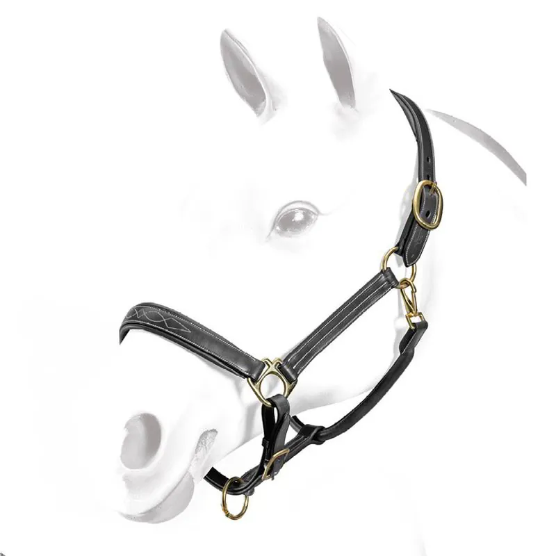 Equipe Emporio Stitched Leather Halter - Black-1