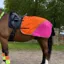 Equisafety Multi-Colored Waterproof Quarter Sheet - Pink/Orange
