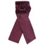 Equetech Ready Tied Stock Tie - Maroon/White Pin Spot