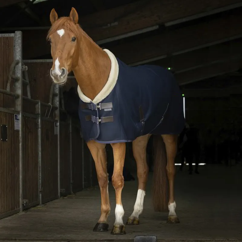 Equi-Theme Teddy Mesh Sheet - Navy