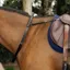 Equi-Sential Leather Neck Strap with Handle - Black