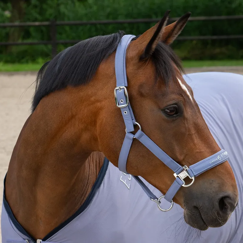 Eskadron Classic Sports Sparkle Double Pin Halter - Orchid-2
