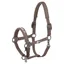 Eskadron Dynamic Sparkle Double Pin Halter - Powder Taupe