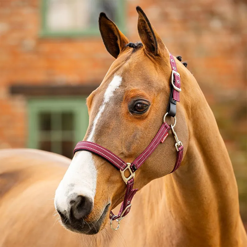 LeMieux Essential Yard Halter - Burgundy-1