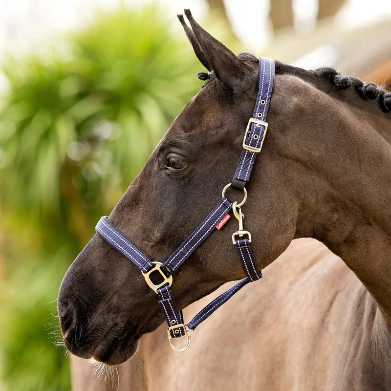 LeMieux Essential Halter - Navy-1