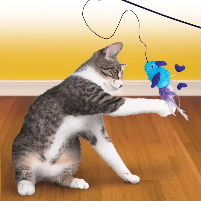 KONG Feather Teaser Cat Toy - Assorted-2