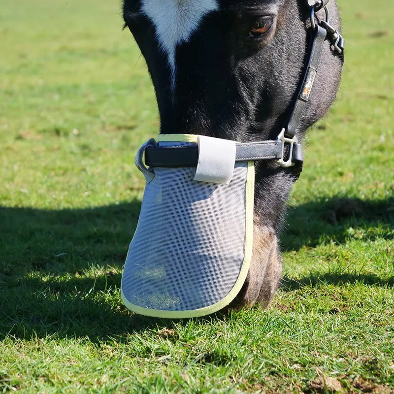 Equilibrium Field Relief Muzzle Protector for Halters - Grey