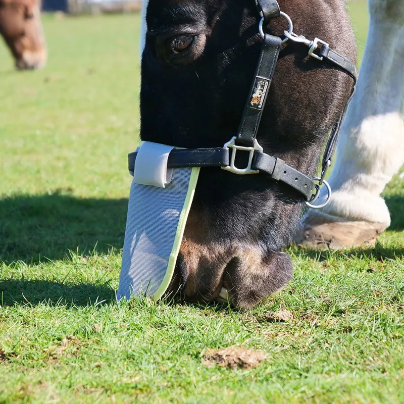 Equilibrium Field Relief Muzzle Protector for Halters - Grey-2