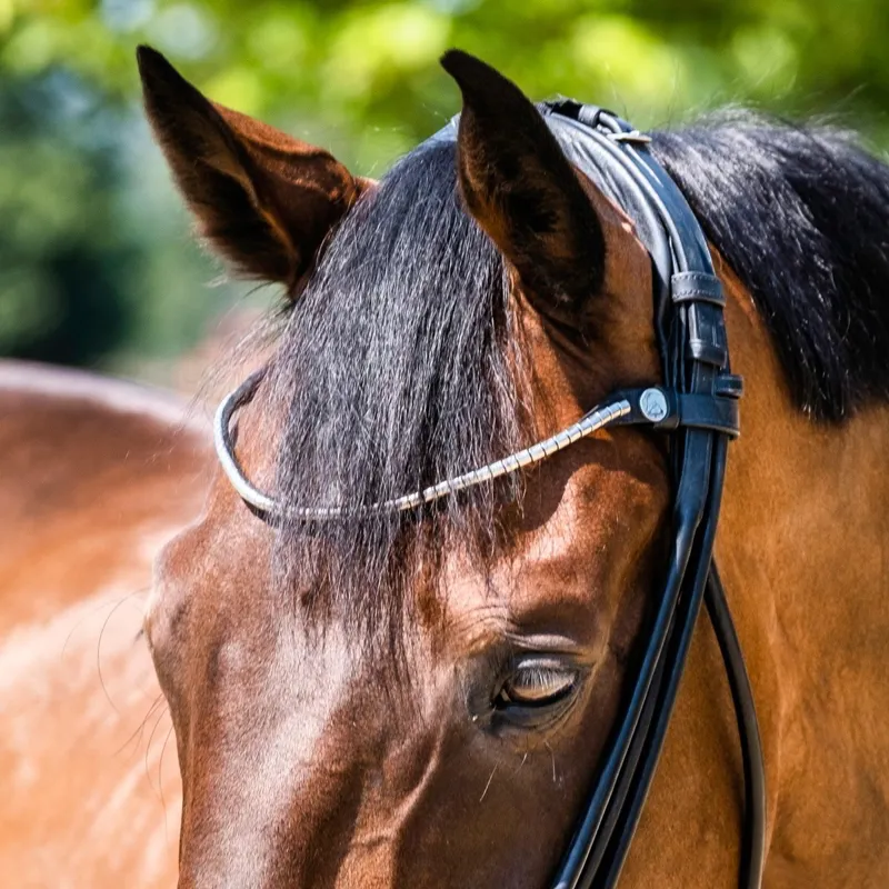 Finesse Cassidy Rolled Padded Flash Bridle - Black/Patent/Silver-1