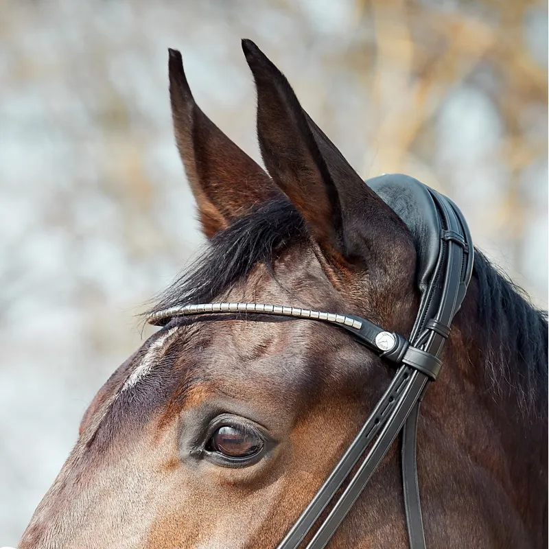 Finesse Zorro Flash Bridle - Black/Silver-2