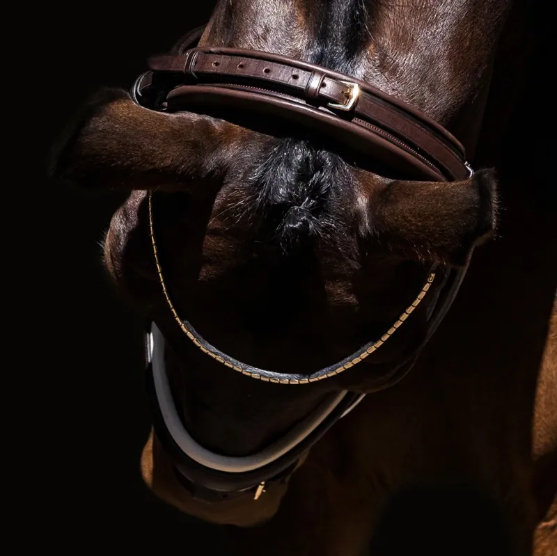 Finesse Zorro Flash Bridle - Black/Silver-3