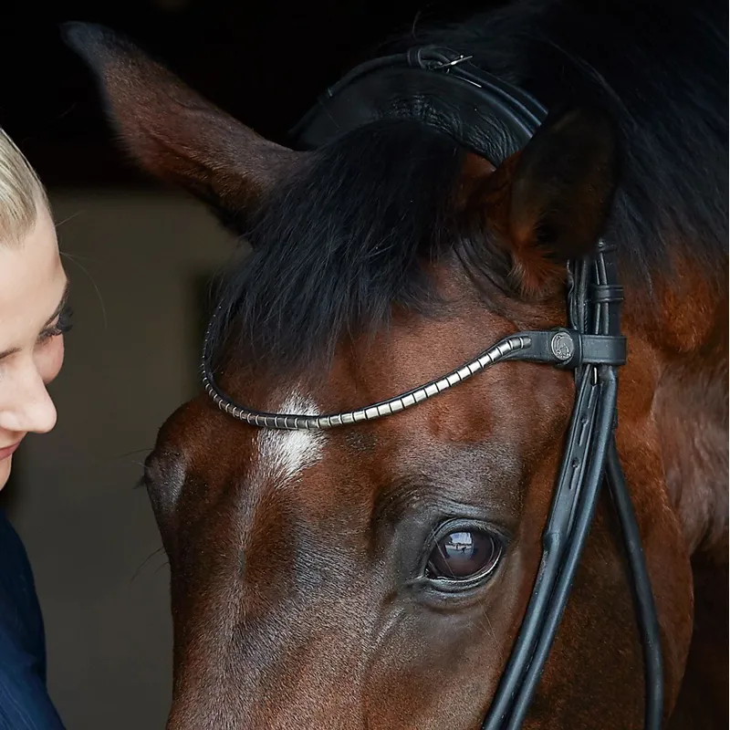 Finesse Himalaya Rolled Flash Bridle - Black/Silver-2