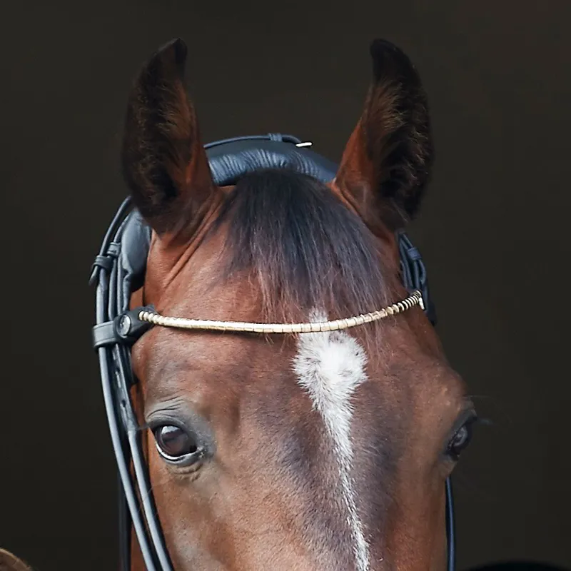 Finesse Himalaya Rolled Flash Bridle - Black/Silver-5